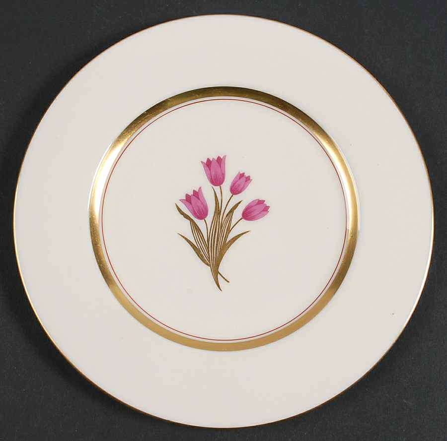 Bradford (Gold Trim) Salad Plate by Lenox-1