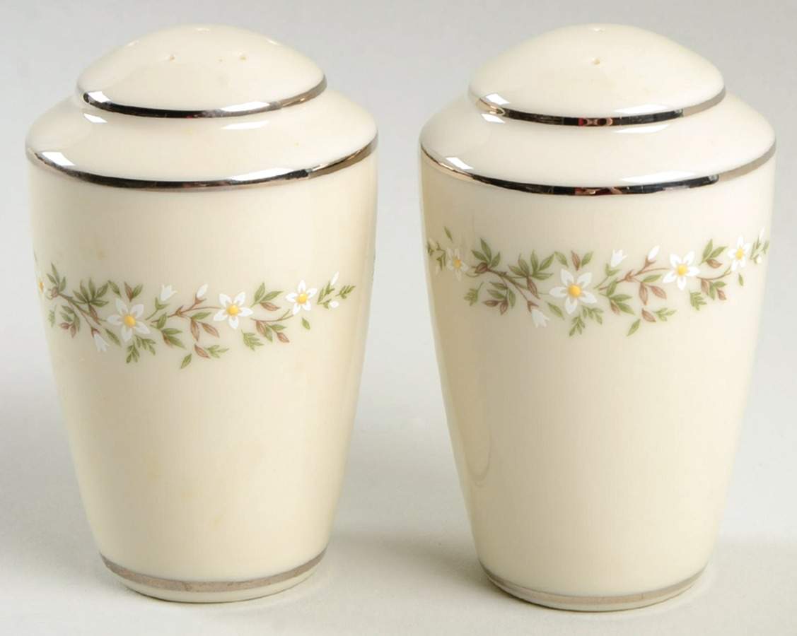 Brookdale Salt & Pepper Set by Lenox-1