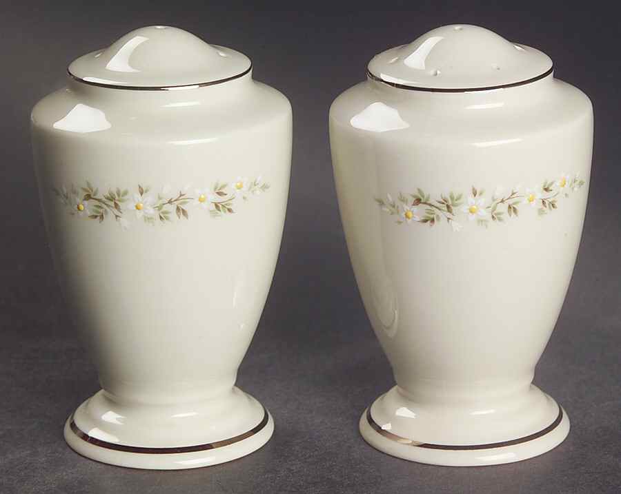 Brookdale Salt & Pepper Set by Lenox-1