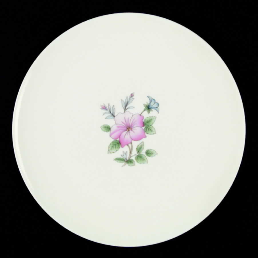 Cynthia Dinner Plate by Lenox-1