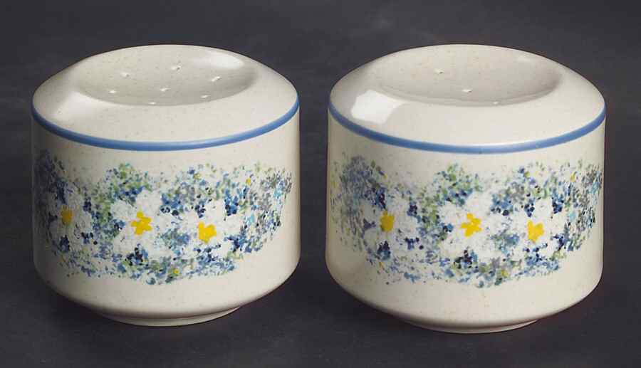 Dewdrops Salt & Pepper Set by Lenox-1