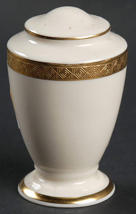 Haverford Hall 99 Shape Salt Shaker by Lenox-1