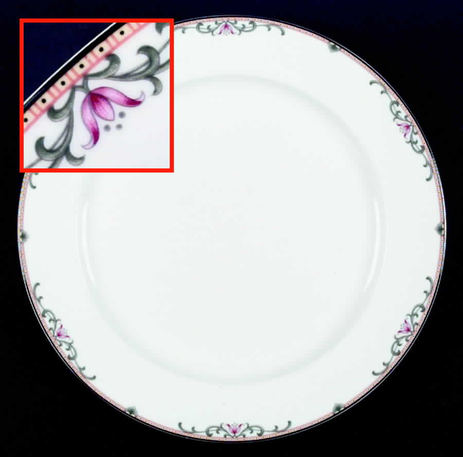 Hanover Park Dinner Plate by Lenox-1