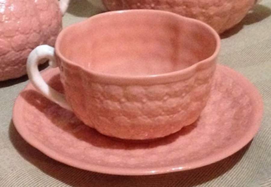 Hawthorne Coral (No Trim-Gold Trim) Flat Cup & Saucer Set by Lenox-1