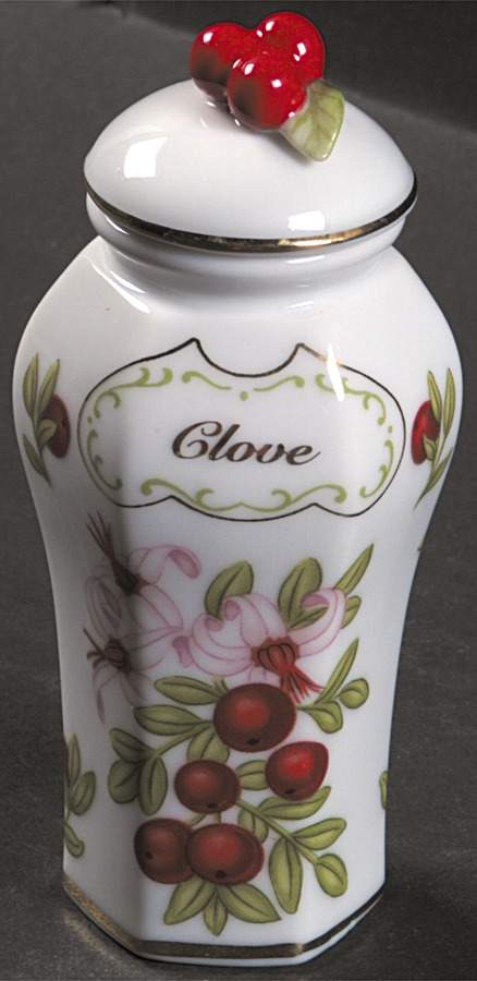 Lenox Orchard Giftware Spice Jar Set Individual Jar & Lid by Lenox-1
