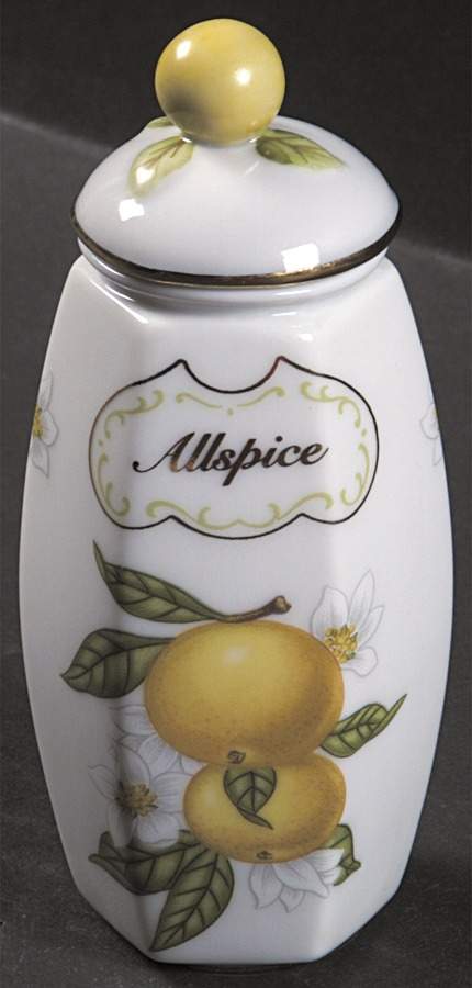 Lenox Orchard Giftware Spice Jar Set Individual Jar & Lid by Lenox-1