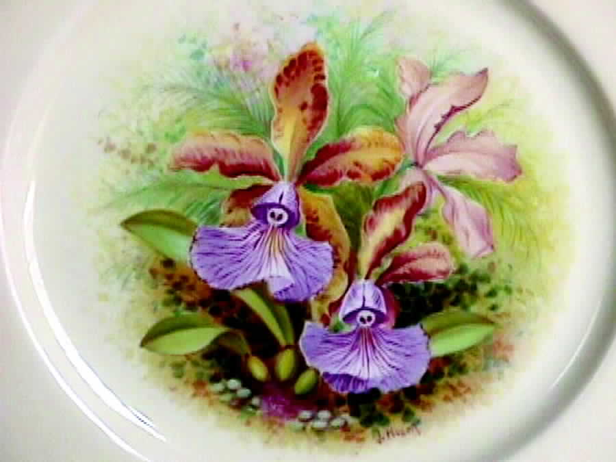O432 Dinner Plate by Lenox-1