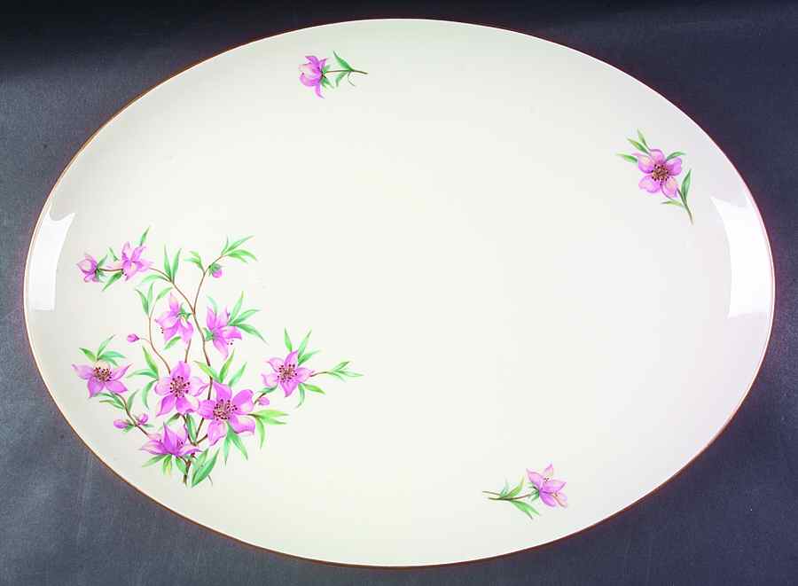 Peachtree 19" Oval Serving Platter by Lenox-1