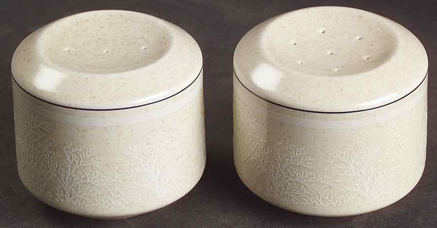 Silhouette Salt & Pepper Set by Lenox-1
