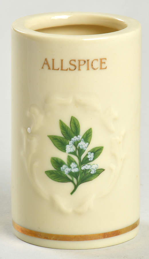 Spice Garden (Giftware) Spice Jar Set Individual Jar No Lid by Lenox-1