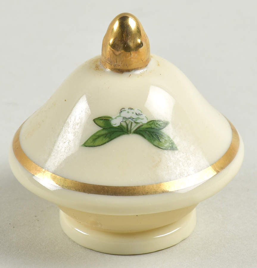 Spice Garden (Giftware) Lid for Spice Jar Set Individual Jar by Lenox-1