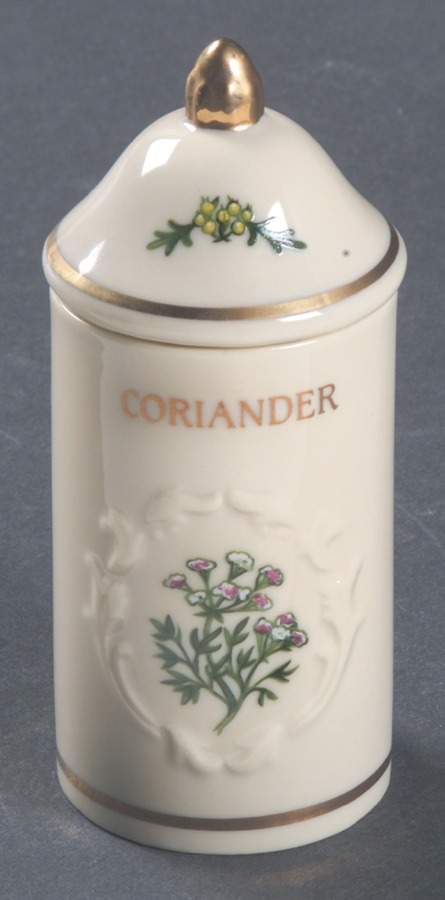 Spice Garden (Giftware) Spice Jar Set Individual Jar & Lid by Lenox-1