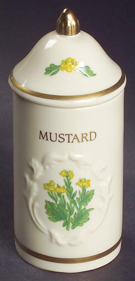 Spice Garden (Giftware) Spice Jar Set Individual Jar & Lid by Lenox-1