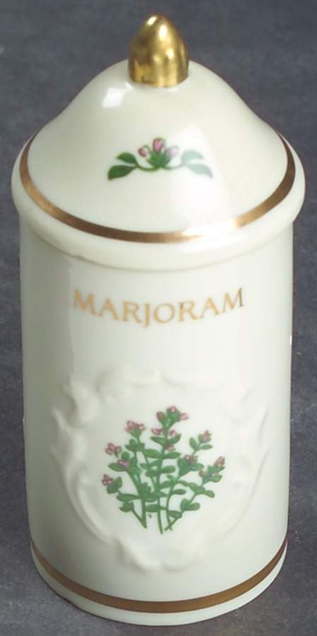 Spice Garden (Giftware) Spice Jar Set Individual Jar & Lid by Lenox-1