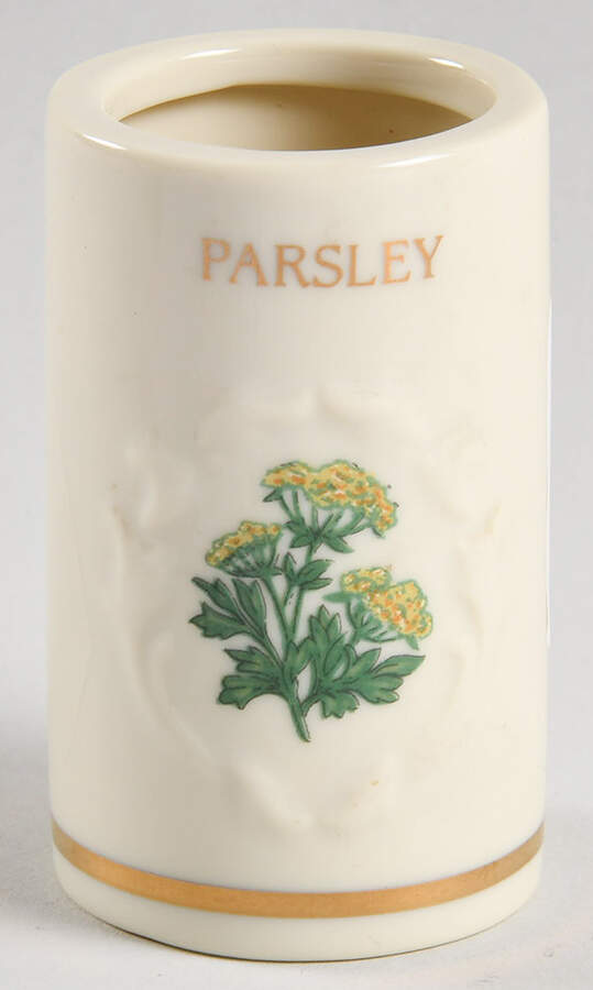 Spice Garden (Giftware) Spice Jar Set Individual Jar No Lid by Lenox-1