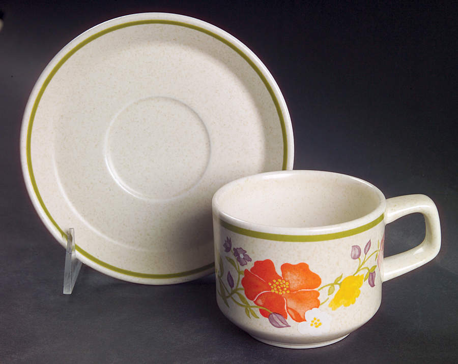 Summer Wind Flat Cup & Saucer Set by Lenox-1