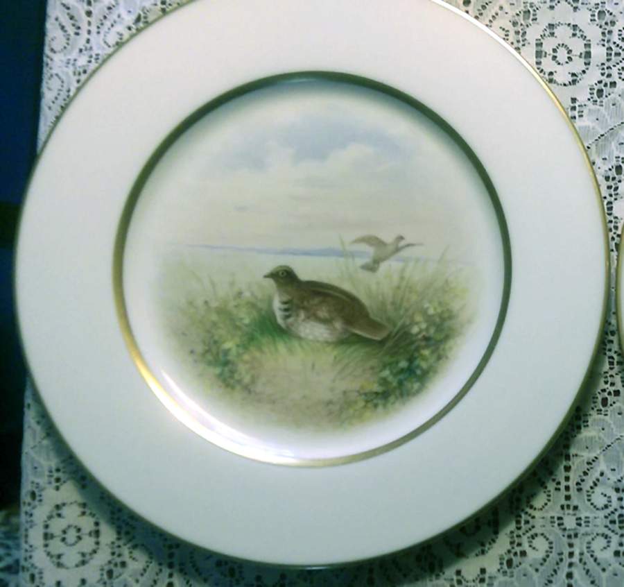 W340 Dinner Plate by Lenox-1