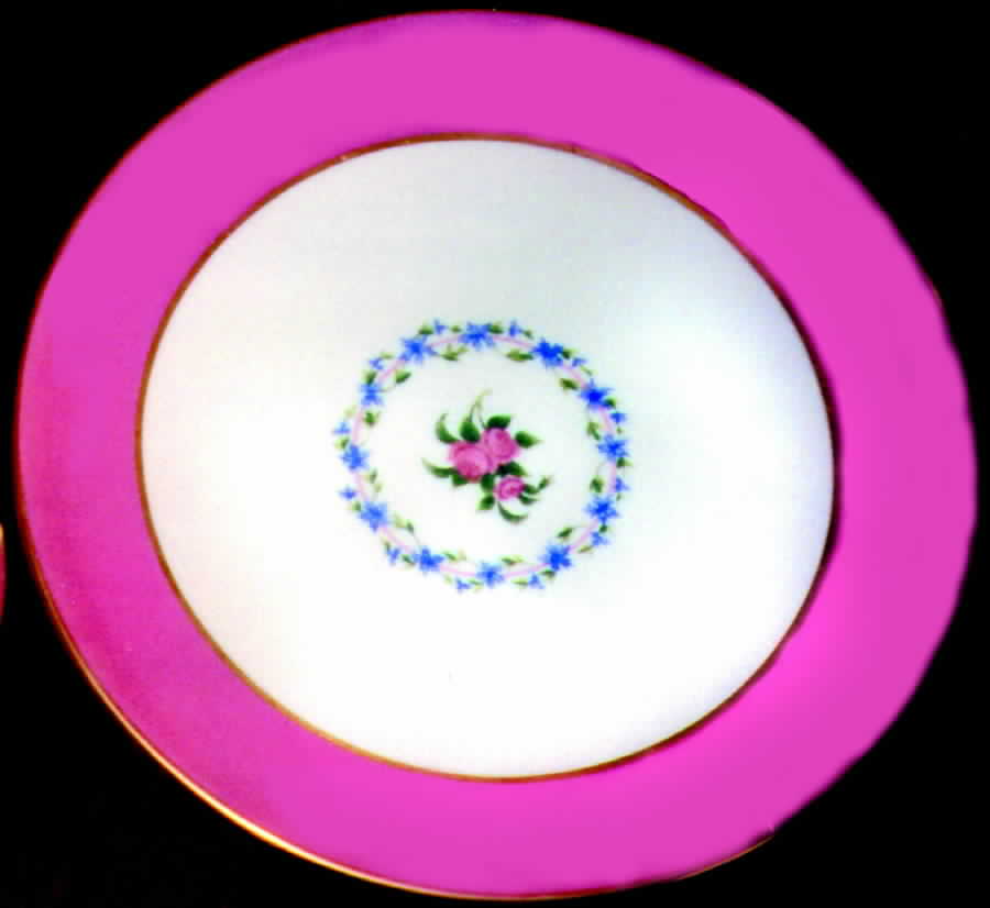 Washington Pink Dinner Plate by Lenox-1