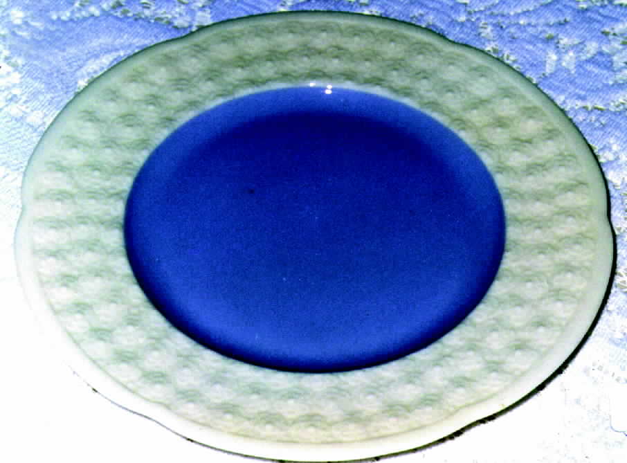 Hawthorne (Blue Center) Dinner Plate by Lenox-1