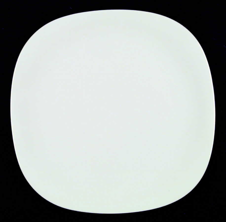 Transition Dinner Plate by Langenthal-1