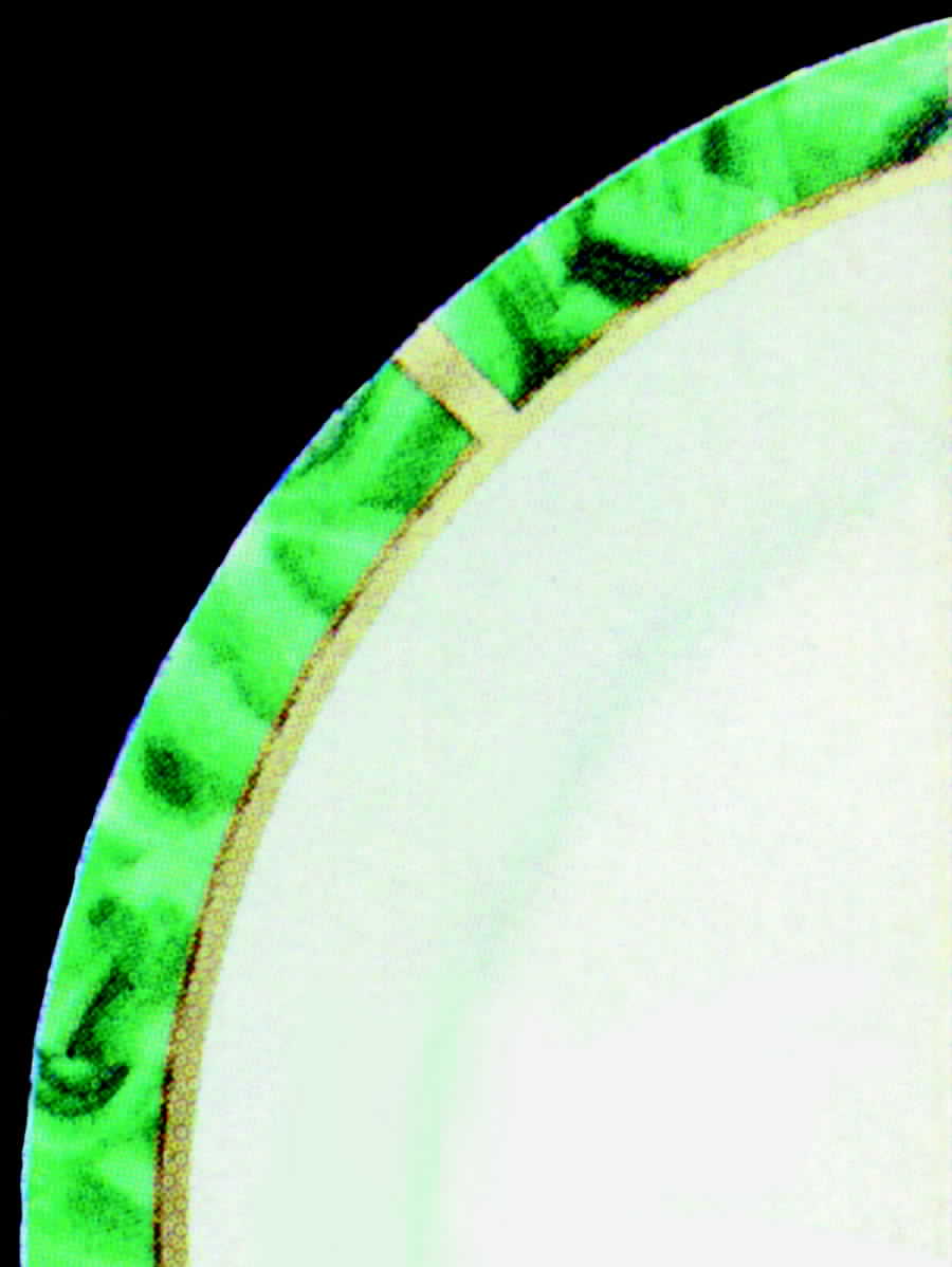 Aladin Salad Plate by Laure Japy-1