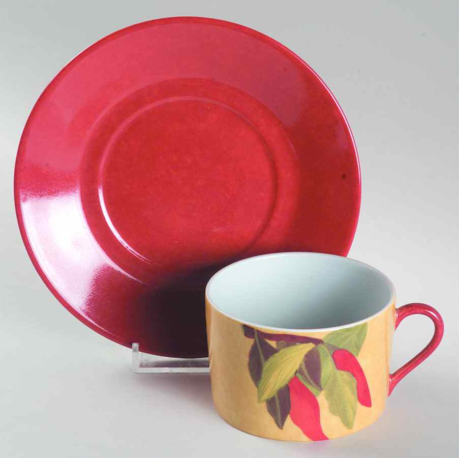 Piments Flat Cup & Saucer Set by Laure Japy-1
