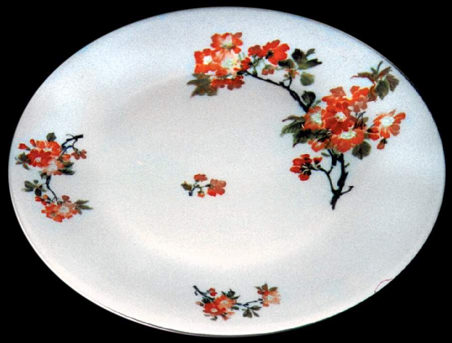 LEL1 Dinner Plate by LEC-Leclair Limoges-1