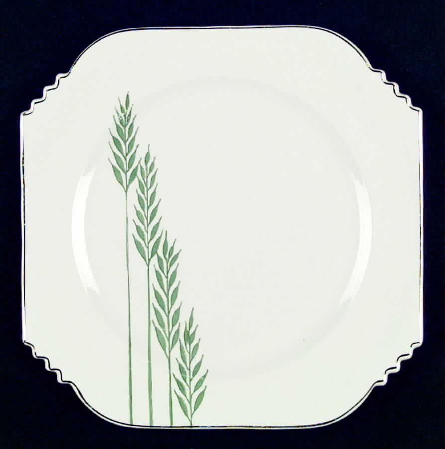 Green Wheat (Square) Dinner Plate by Leigh Potters-1