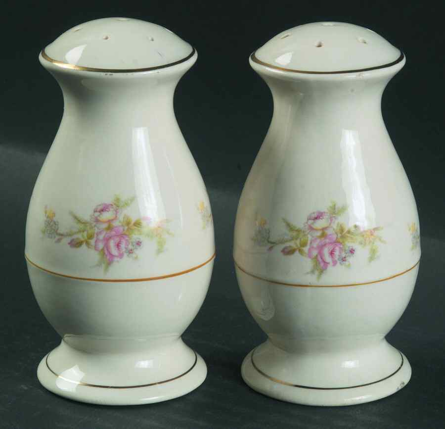 Asbury Salt & Pepper Set by Limoges-American-1