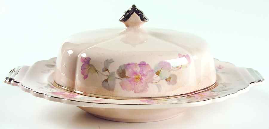 Bel Clare Round Covered Butter by Limoges-American-1