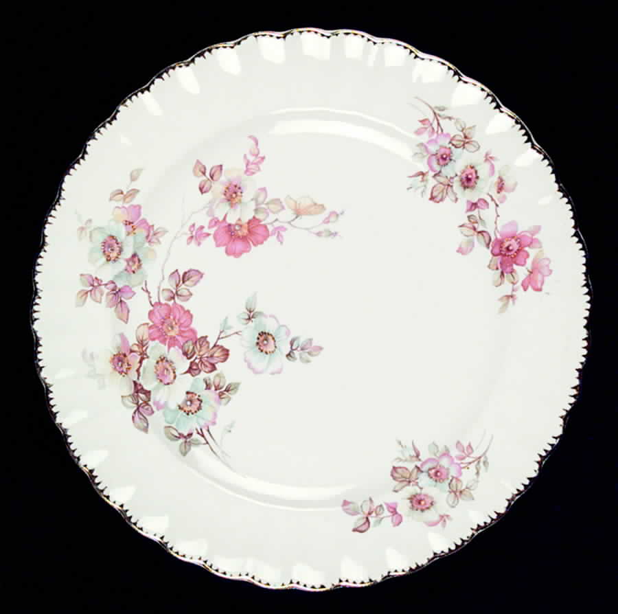 Bramble (Filigree 3KGFE) Dinner Plate by Limoges-American-1