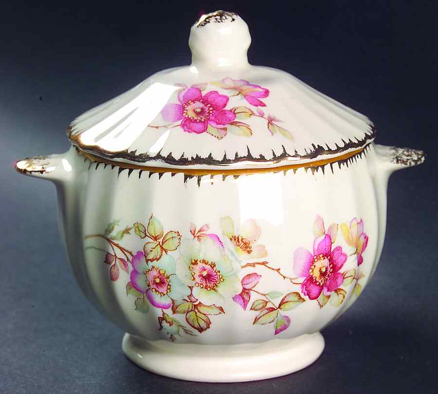 Bramble (Filigree 3KGFE) Sugar Bowl & Lid by Limoges-American-1