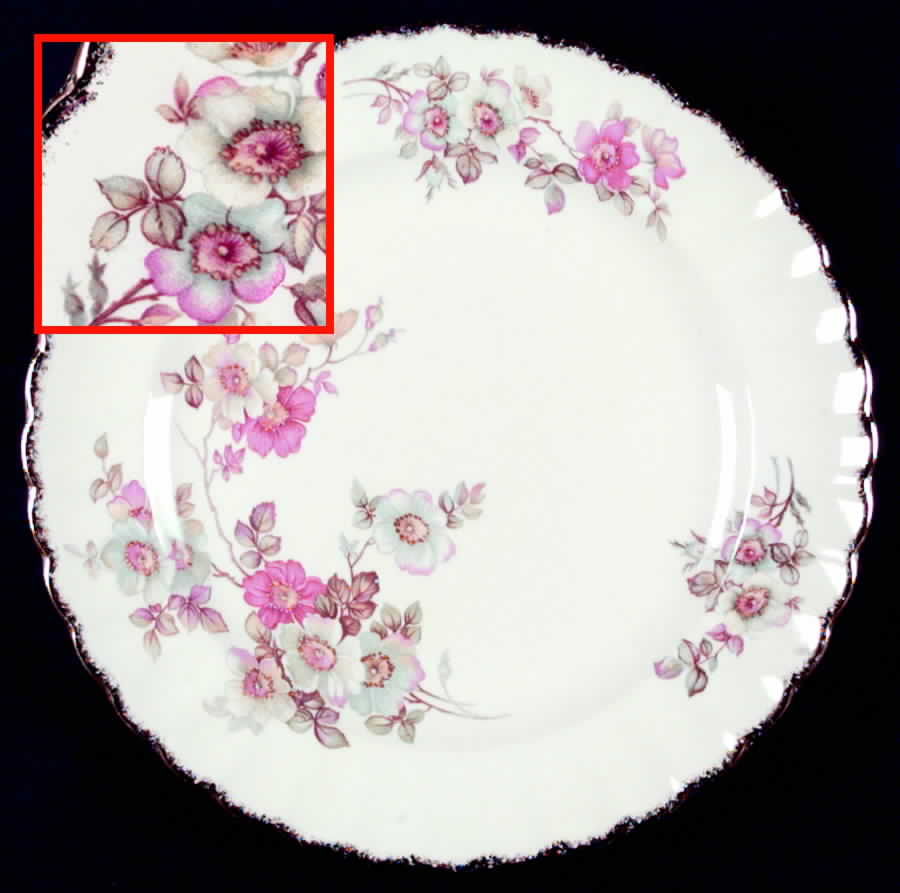 Bramble (Filigree 3KGW) Dinner Plate by Limoges-American-1