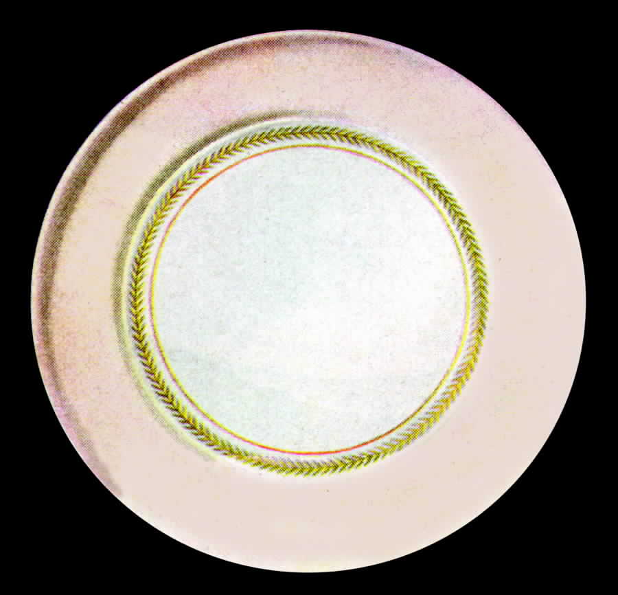 Diana Dinner Plate by Limoges-American-1