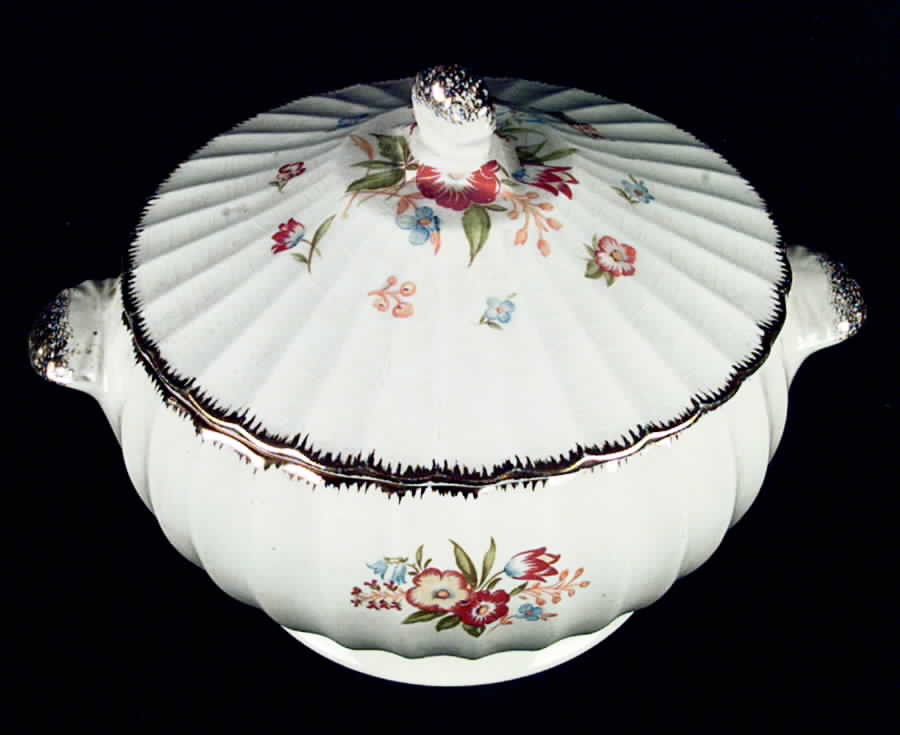 Fashion Round Covered Vegetable by Limoges-American-1