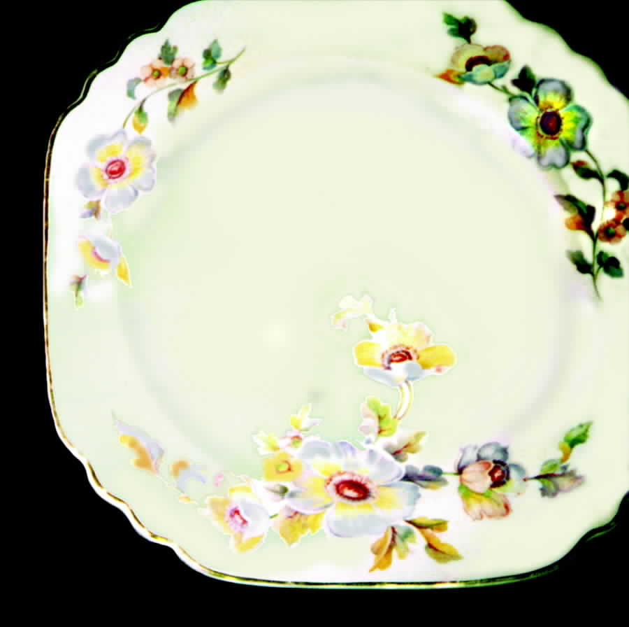 LIA11 Dinner Plate by Limoges-American-1