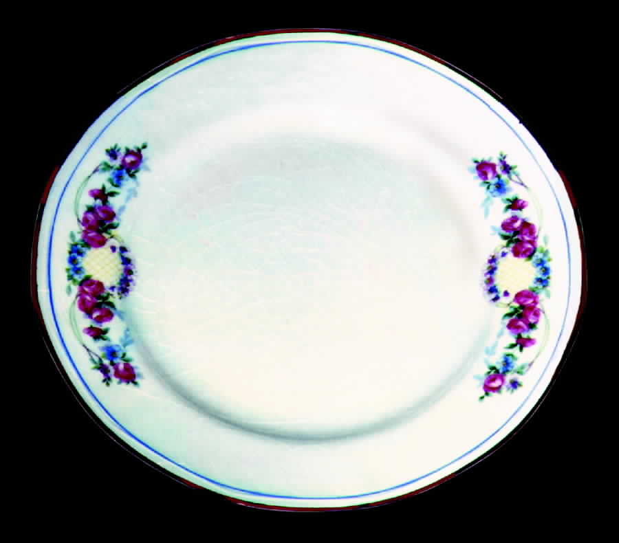 LIA9 Dinner Plate by Limoges-American-1