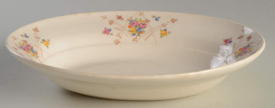New Princess 9" Oval Vegetable Bowl by Limoges-American-1