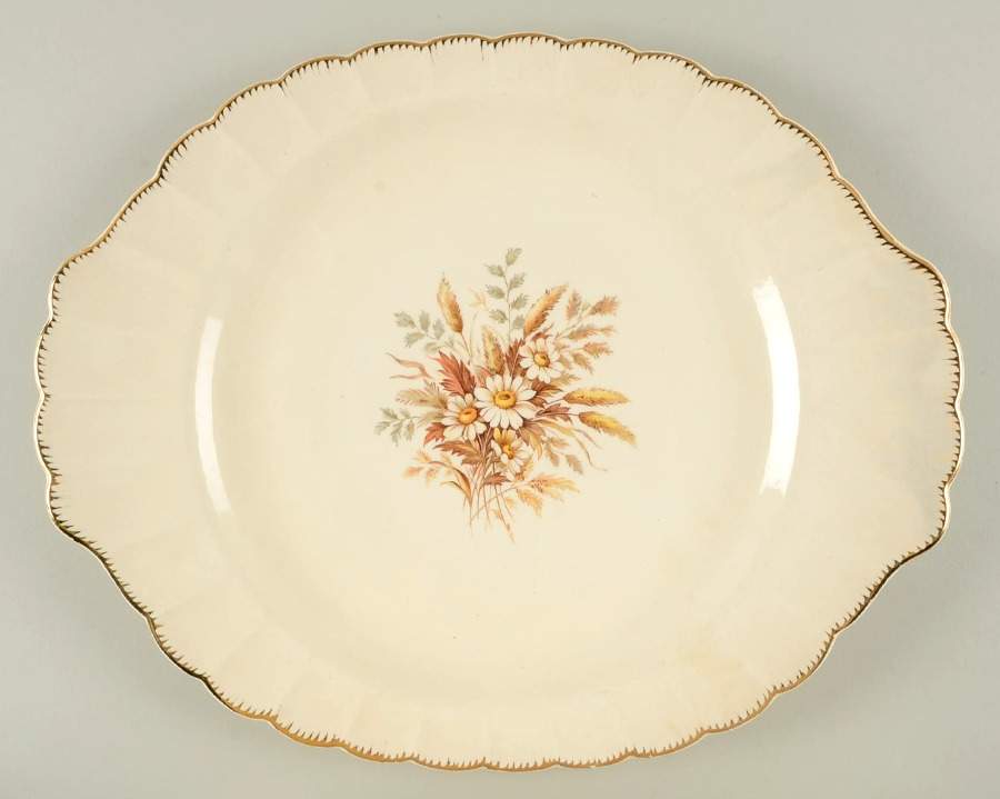 Sundale 15" Oval Serving Platter by Limoges-American-1