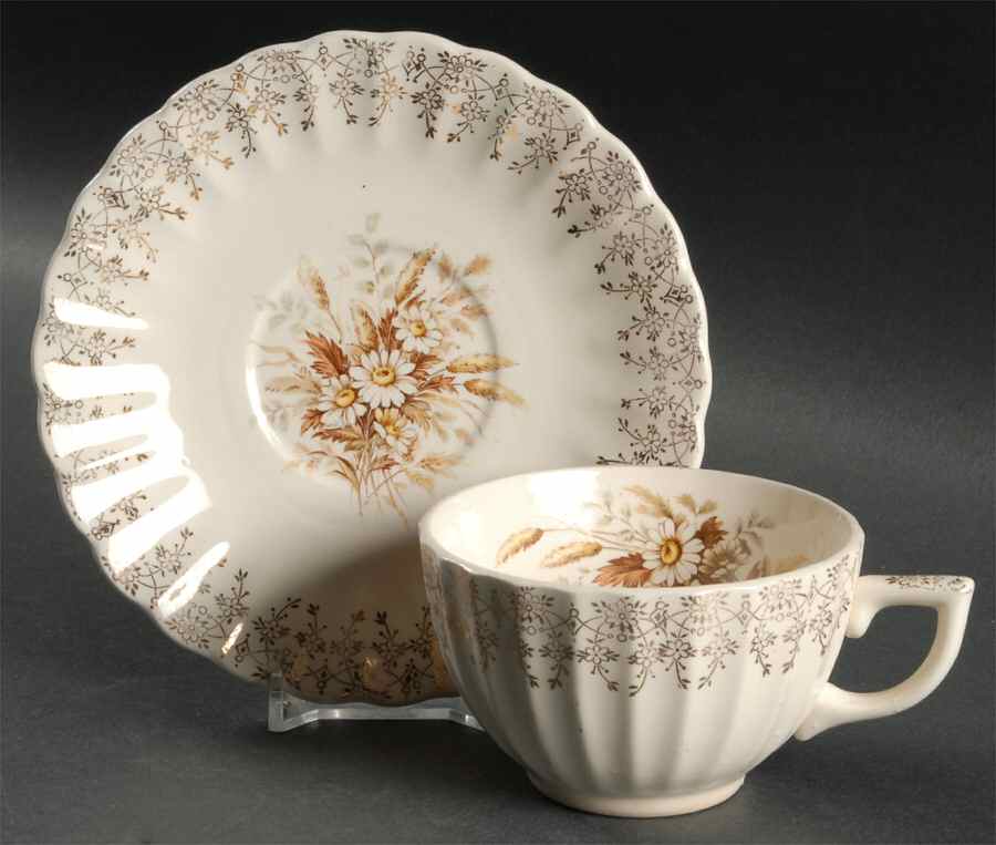 Sundale Flat Cup & Saucer Set by Limoges-American-1