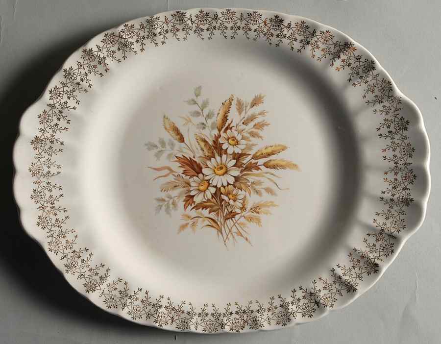 Sundale 11" Oval Serving Platter by Limoges-American-1