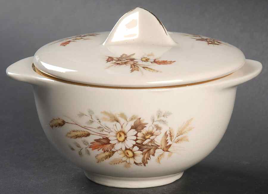 Sundale Sugar Bowl & Lid by Limoges-American-1