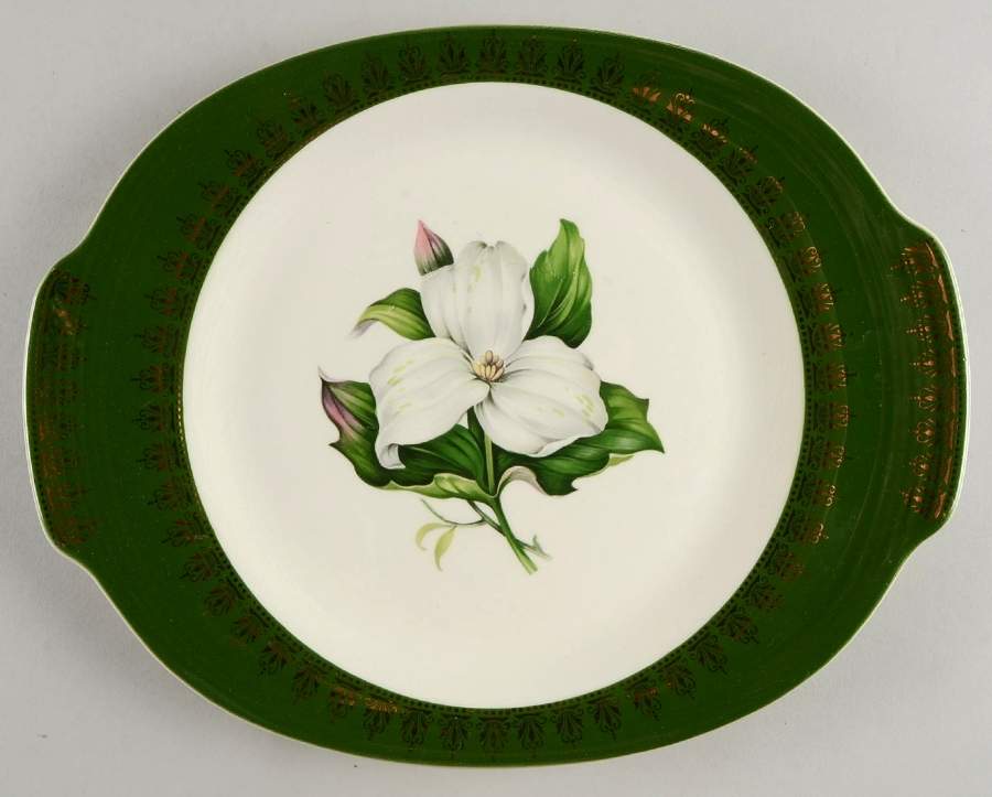 Trillium (Forest Green Filigree) 12" Oval Serving Platter by Limoges-American-1