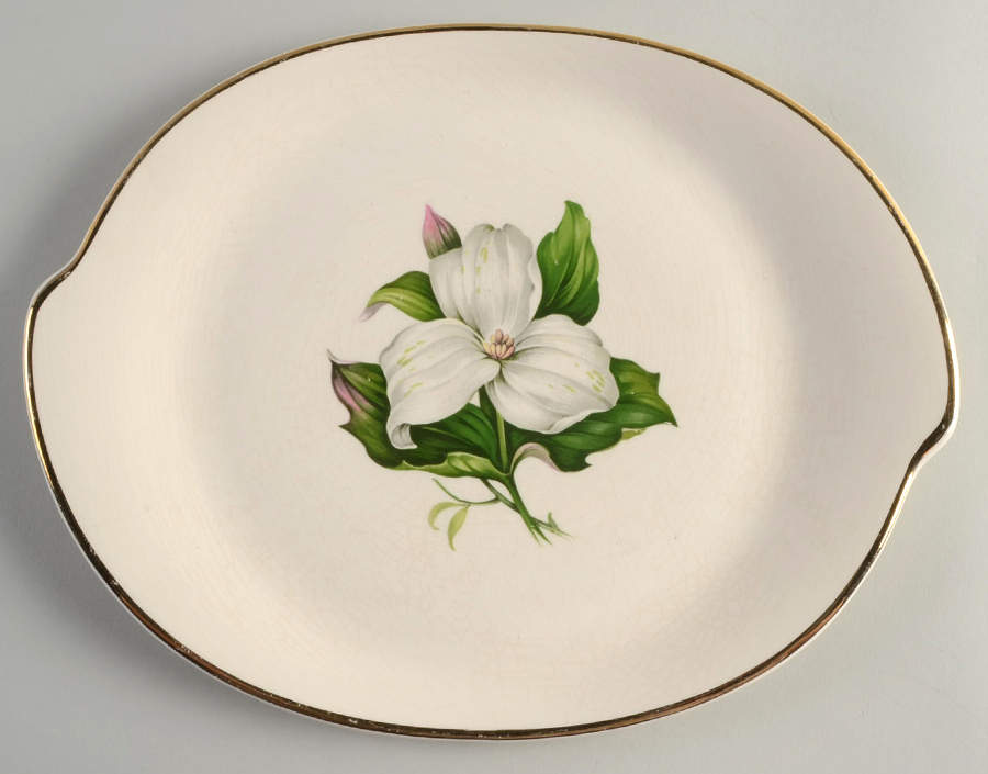 Trillium White (Glamour, Coupe) 12" Oval Serving Platter by Limoges-American-1