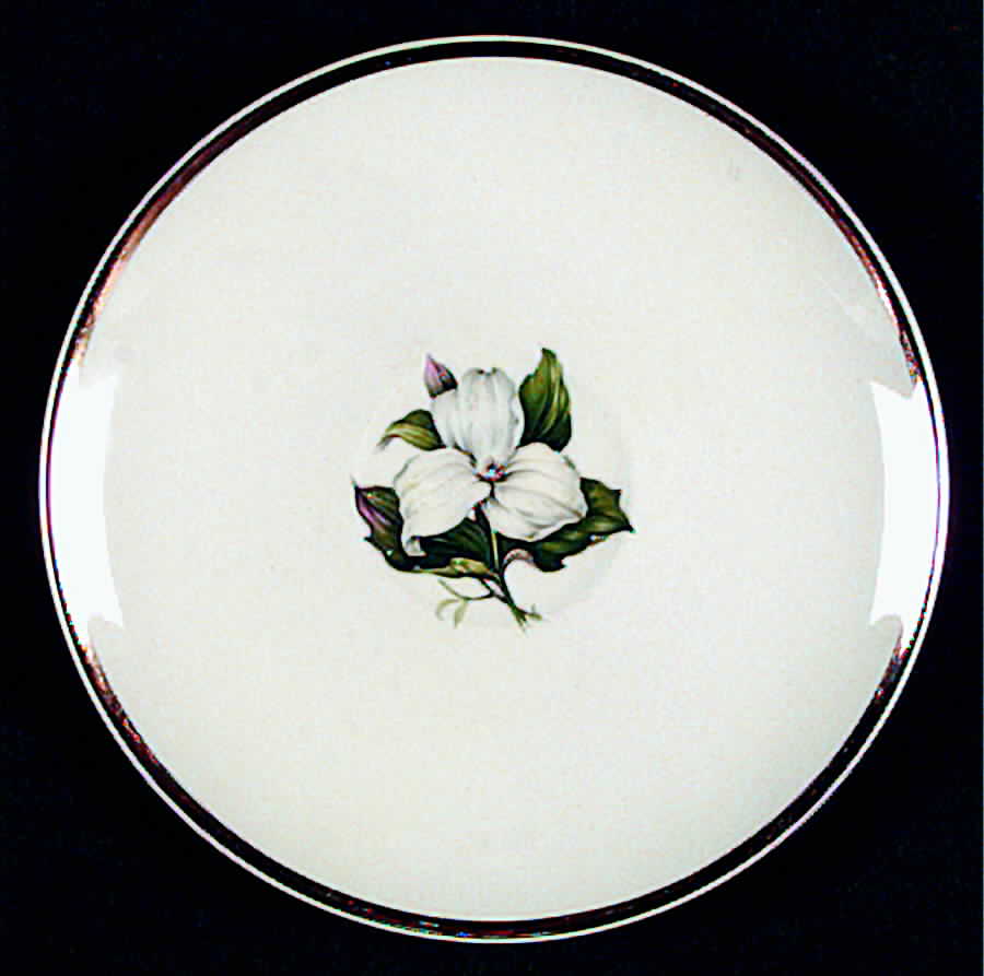 Trillium White (Glamour, Coupe) Saucer by Limoges-American-1