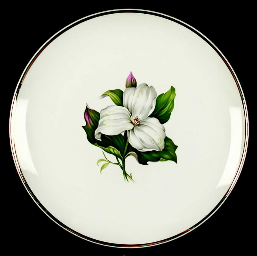 Trillium White (Glamour, Coupe) Dinner Plate by Limoges-American-1