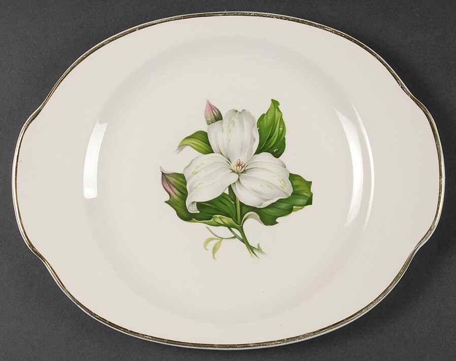 Trillium White (Glamour, Coupe) 12" Oval Serving Platter by Limoges-American-1