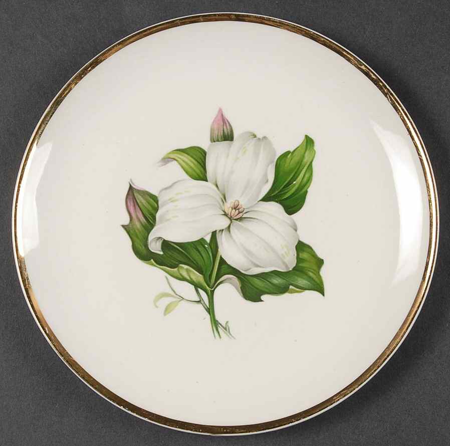 Trillium White (Glamour, Coupe) Bread & Butter Plate by Limoges-American-1