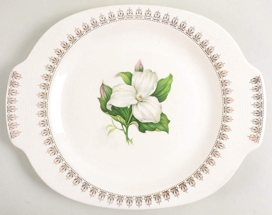Trillium 14" Oval Serving Platter by Limoges-American-1