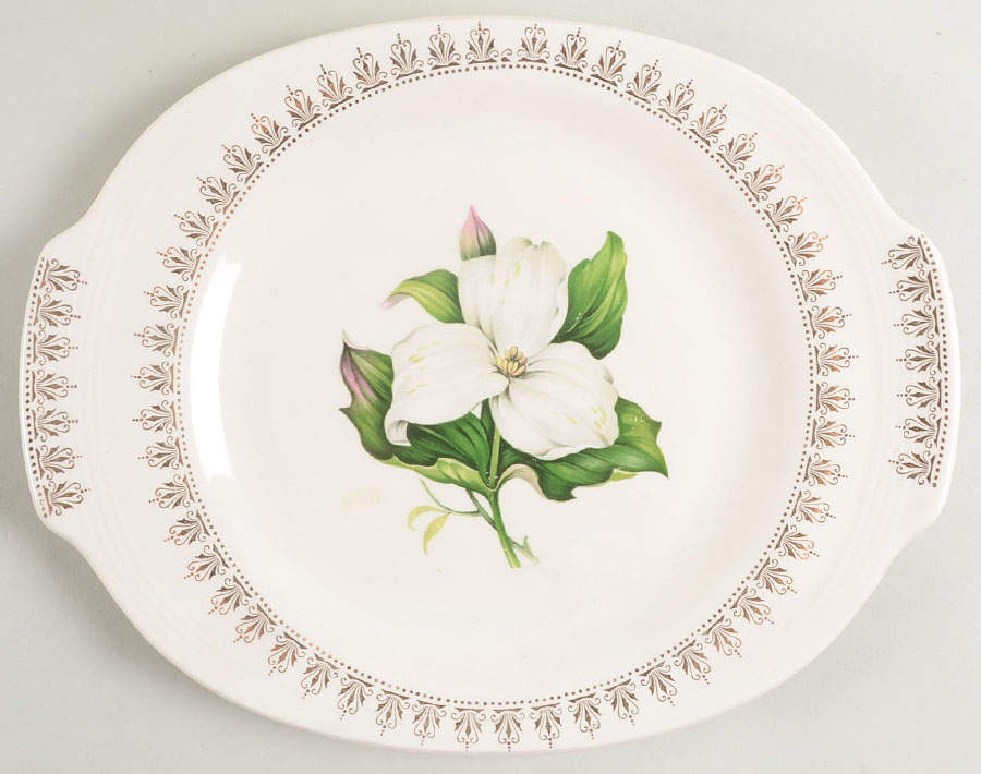 Trillium 11" Oval Serving Platter by Limoges-American-1